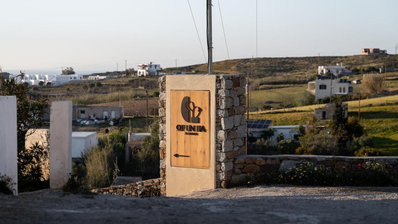 Opuntia Suites Naxos City Exteriör bild