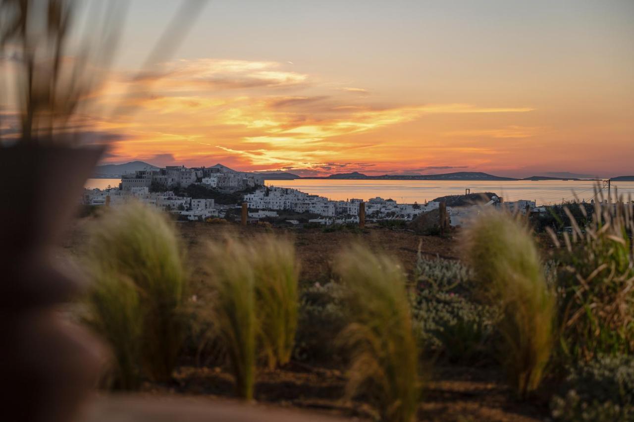 Opuntia Suites Naxos City Exteriör bild